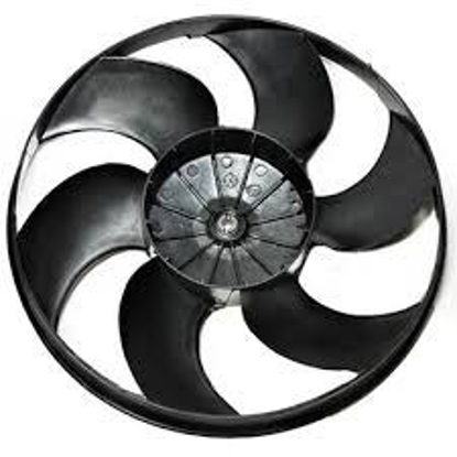 تصویر از پروانه فن 405 خاری بی نی سی