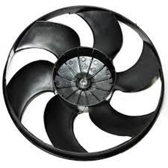 تصویر از پروانه فن 405 خاری بی نی سی