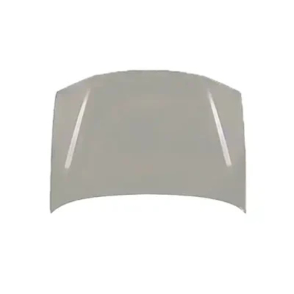 تصویر از درب موتور 405 با آستر شرکتی