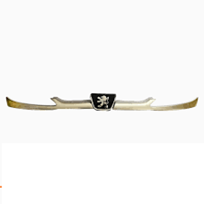 تصویر از ابرویی 206 بژ