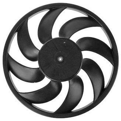 تصویر از پروانه فن 206 بی نی سی