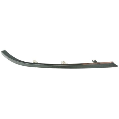 تصویر از ابروی پارس خاکستری کایان راست